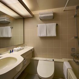 Executive Suite Bathroom